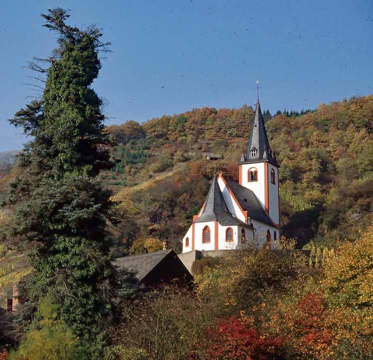 vineyard chapel